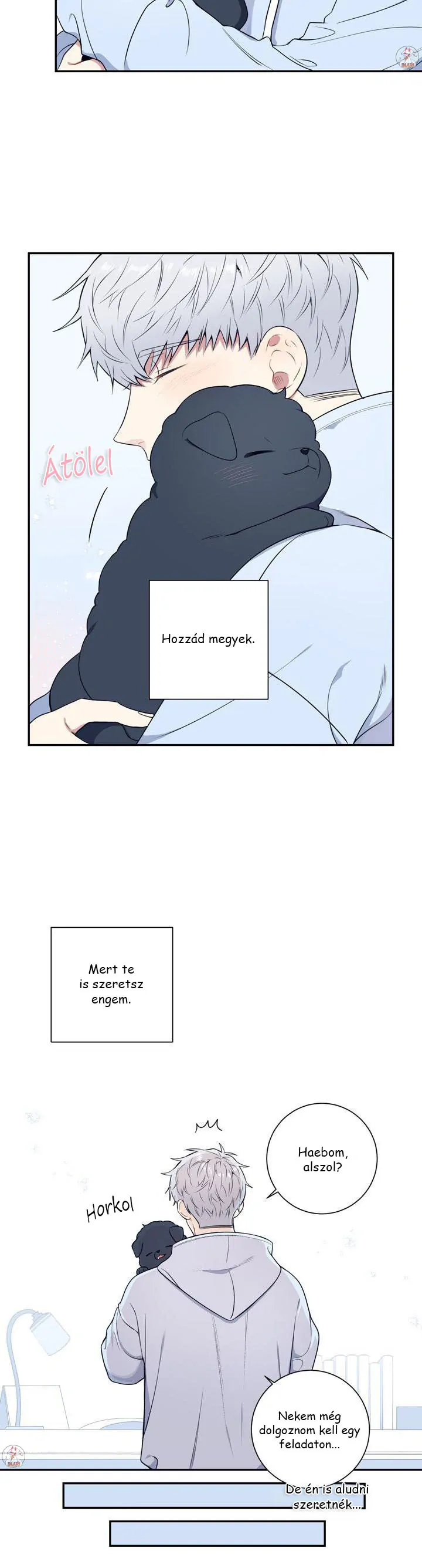 42905217 720 2672 77086